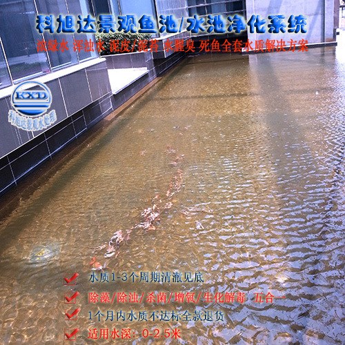 內(nèi)蒙古伊金霍洛旗園林魚池水處理150噸庭院魚池過(guò)濾設(shè)備