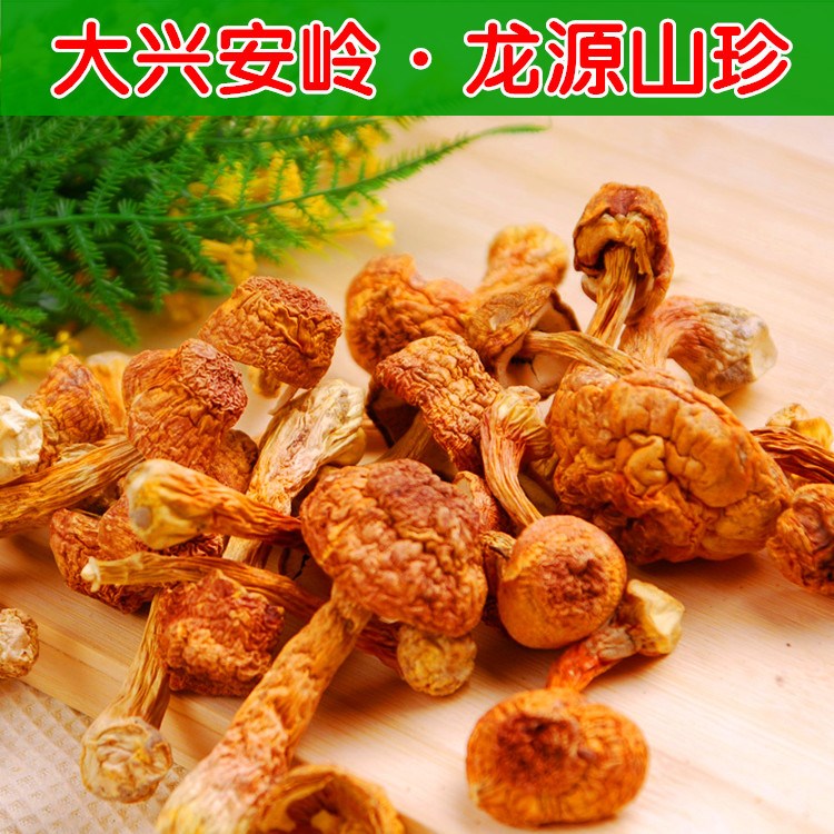 大興安嶺 特產(chǎn) 東北特級滑子菇 食用菌 珍珠菇 干貨 小黃蘑