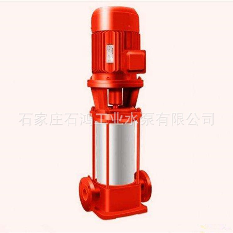 批發(fā)高揚(yáng)程管道多級(jí)泵 125GDL100-20X10 高壓循環(huán)泵 清水離心泵