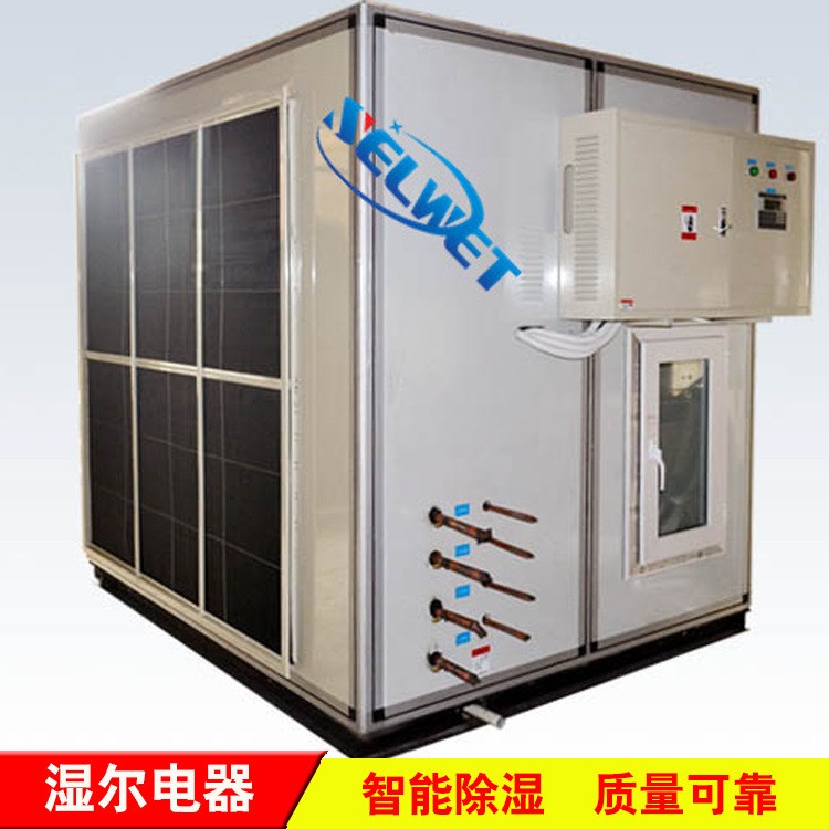 廠家生產(chǎn)調(diào)溫除濕機工業(yè)降溫抽濕機車間實驗室倉庫調(diào)溫吸濕器