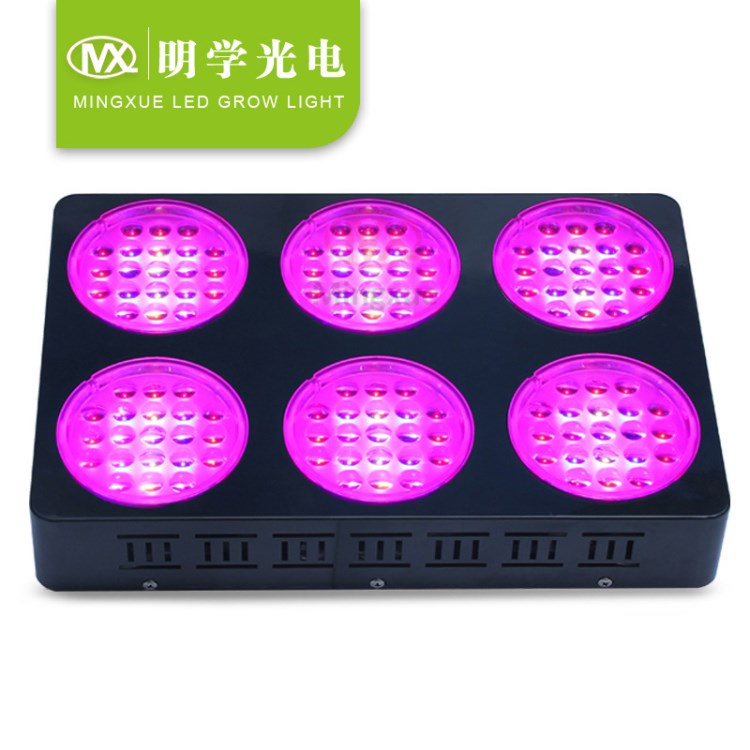 外貿 LED植物燈 Grow Light  400W 高Par值 室內植物生長燈具