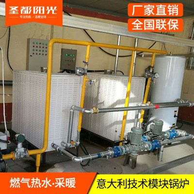 熱賣 天燃氣洗浴熱水鍋爐 采暖供暖爐 自動節(jié)能環(huán)保天然氣模塊鍋