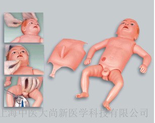 嬰兒護理模型
