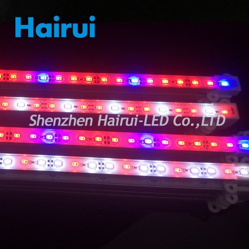 厂家5730LED硬光条 12V 鱼缸室外4红1蓝，2白1蓝，2红1白半米