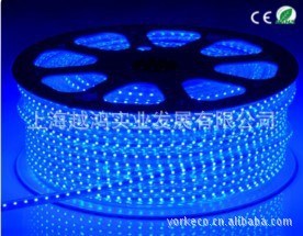 工厂直销质保三年 户外防水七彩柔性高压220V光条RGB LED SMD5050