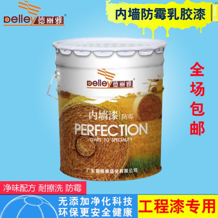 廠家 水性內(nèi)墻防霉乳膠漆 20kg 內(nèi)墻涂料 工程涂料 耐擦洗環(huán)保漆