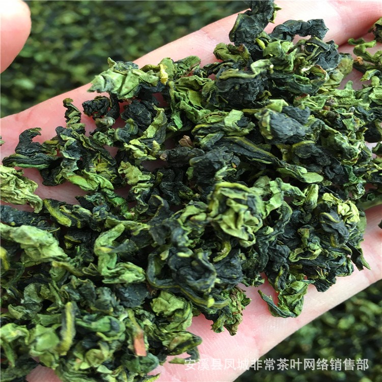 贵阳茶叶：绿色精灵在高原上舞蹈