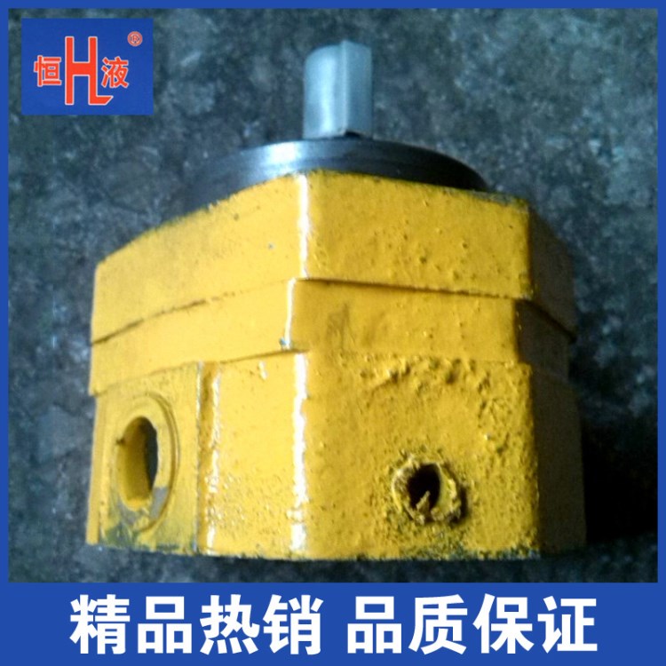 供應BB--B4 B6 B10擺線齒輪油泵 微型油泵  電動液壓轉子泵