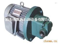 供應RYB威海電動擺線齒輪油泵