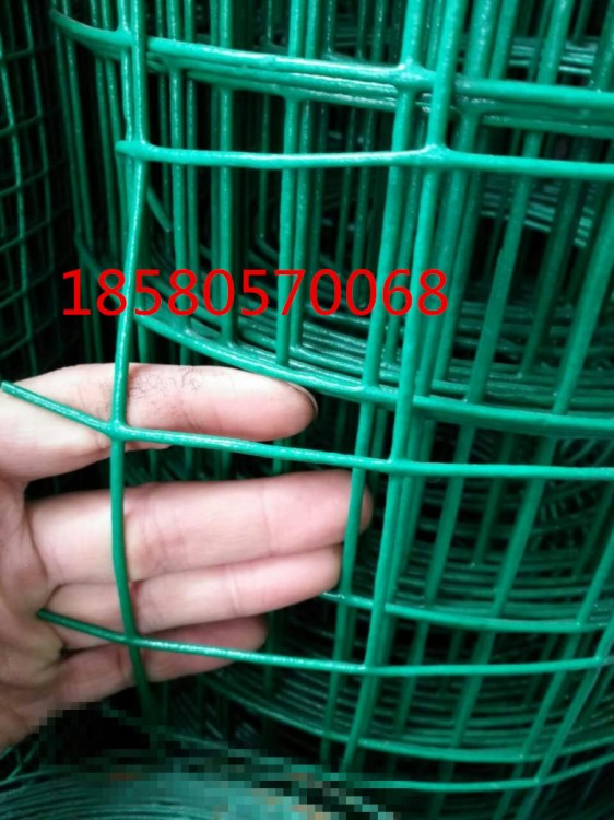 四川貴州 圈地防護隔離浸塑養(yǎng)殖荷蘭網(wǎng)   涂塑鐵絲圍欄網(wǎng)  雞網(wǎng)