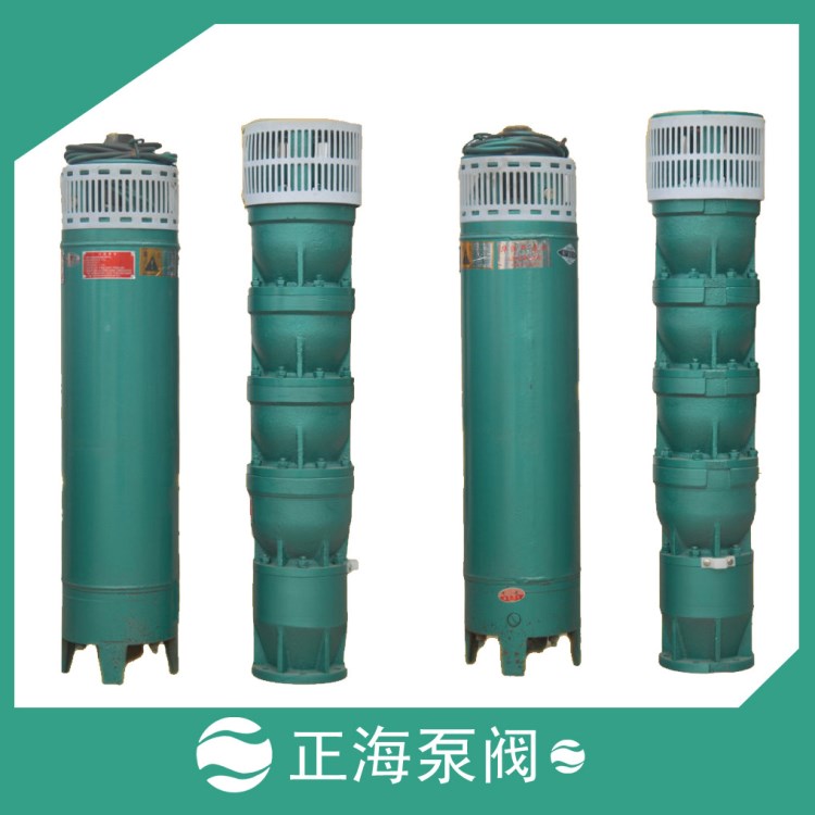 生產(chǎn)供應(yīng)QS潛水泵 QS65-10-3  充水式噴泉專用潛水泵