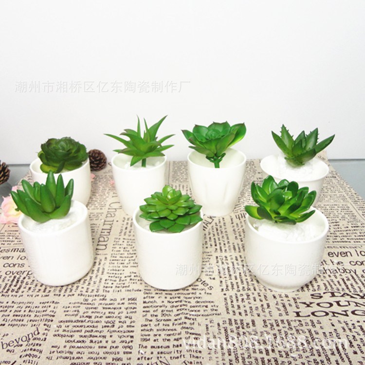 2014年新品多肉植物花盆 迷爾陶瓷小花盆 室內(nèi)小盆栽陶瓷花盆