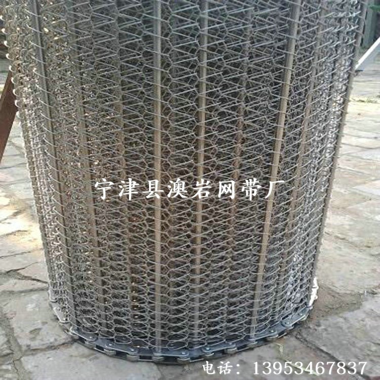 蔬菜脫水流水線304不銹鋼網(wǎng)帶廠家直銷 非標(biāo)定制速凍食品專用網(wǎng)鏈