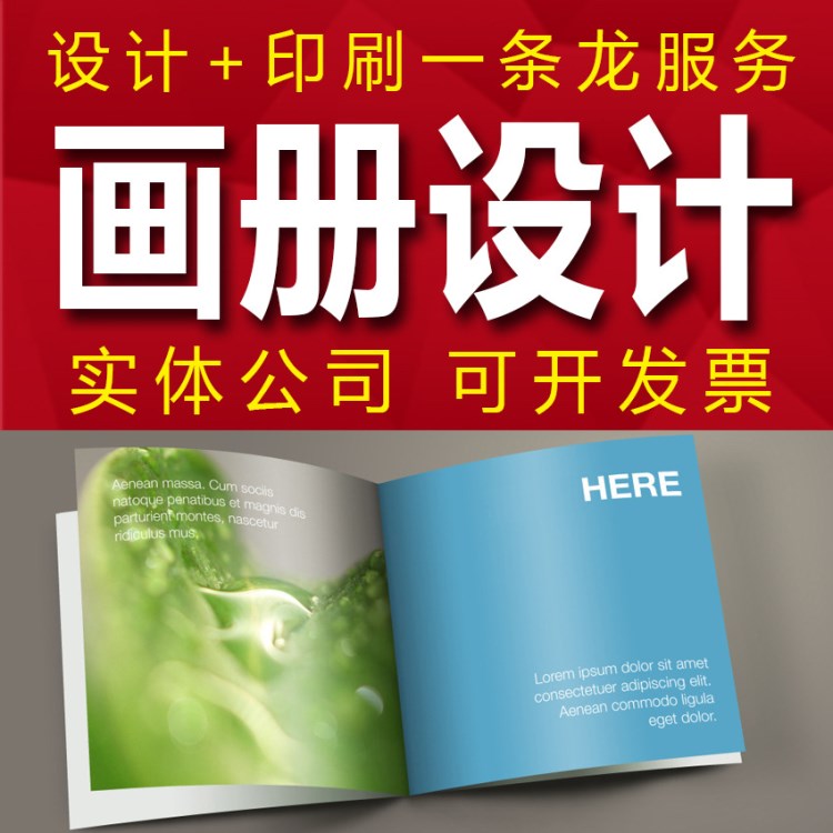 精美宣传画册，东莞公司企业，石龙 石排画册设计印刷