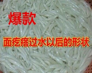 可定制多排仿手工面魚機 全自動搓面魚機 莜面魚魚機