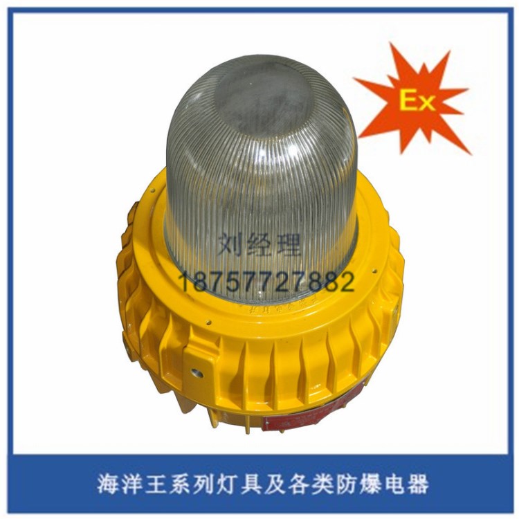 海洋BFC8140內場防爆燈 石油石化照明 船用照明燈 鉆井平臺燈