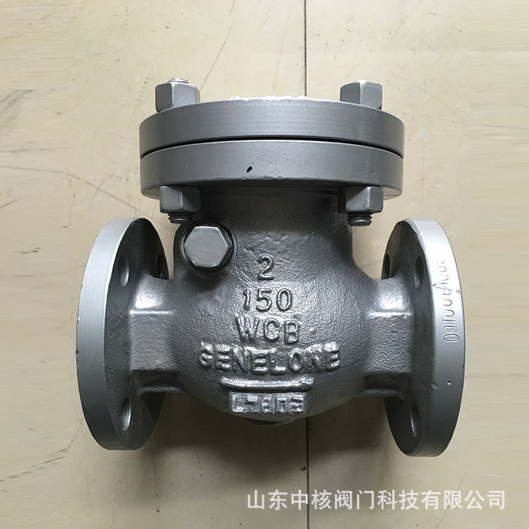 廠家直供各種閥門 旋啟式止回閥 生產不銹鋼管法蘭止回閥