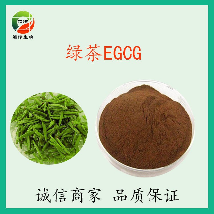 厂家供应EGCG 50% 表没食子儿茶素 EGCG 质量 欢迎采购