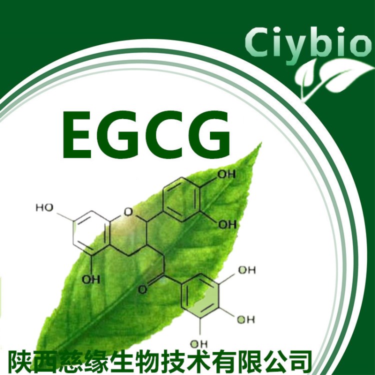 EGCG90（表没食子儿茶素没食子酸酯）