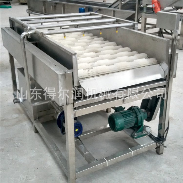 麗江 洋蔥毛刷清洗去皮機 節能環保 新近咨詢