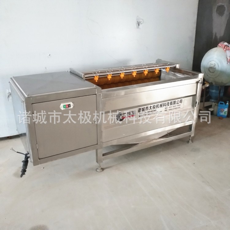 洋蔥去皮機 食品級不銹鋼制造 堅固耐用 果蔬深加工 水果清洗設備