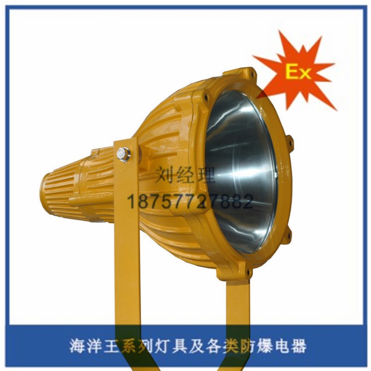 標配海洋BTC8210防爆投光燈|外場工作燈|煤礦燈|戶外投光燈
