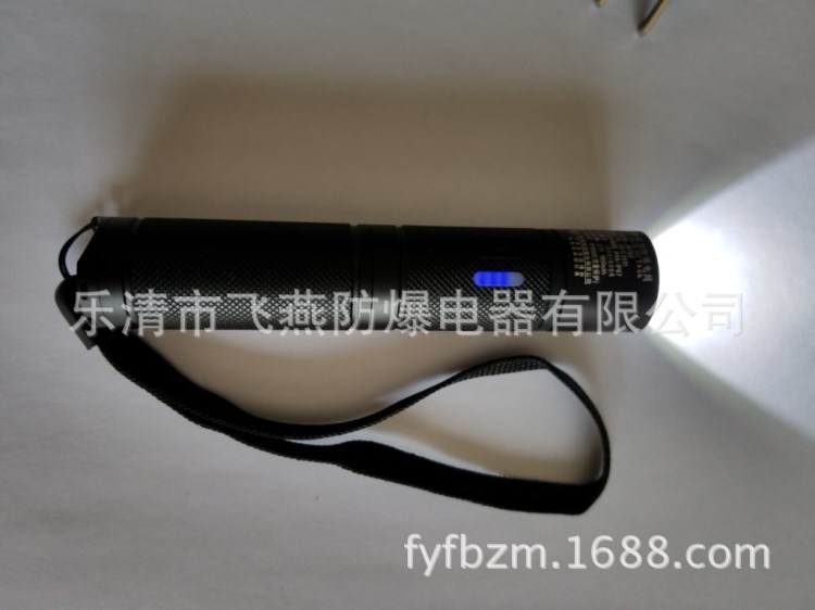 JW7302微型防爆電筒  袖珍型防爆手電 防爆手電批發 防爆手電廠家