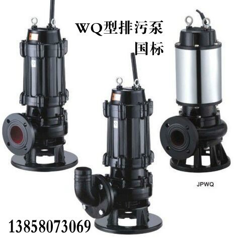 WQ 型系列污水污物潜水电泵 300WQ800-40-160