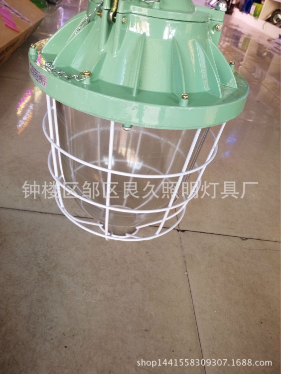 防爆燈100W 200W 250W 400W倉庫工廠加油站廠家直銷批發(fā)新黎明