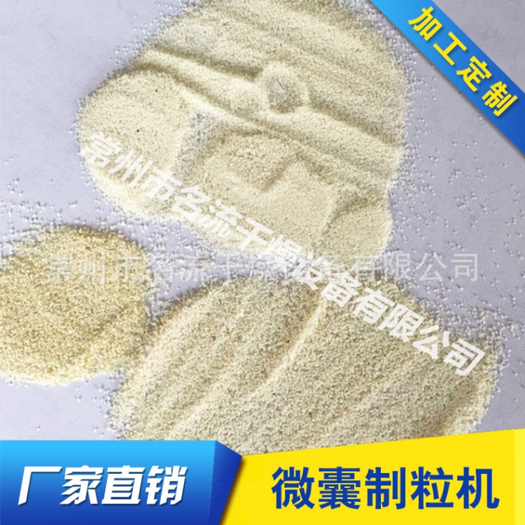 混合制粒機 干法制粒機 多功能微囊制粒機