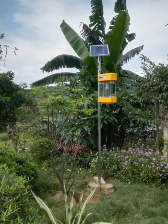 太陽能殺蟲燈誘蟲滅蚊燈紫光物理電擊式果園戶外養(yǎng)殖場農(nóng)場茶園