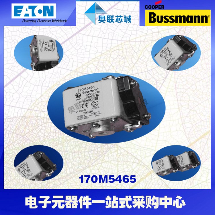 ，原裝BUSSMANN快速熔斷器170M5509現(xiàn)貨,熱賣!