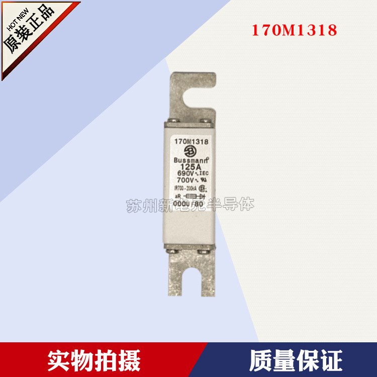 美國巴斯曼Bussmann快速熔斷器170M1318	690V	12原裝現(xiàn)貨