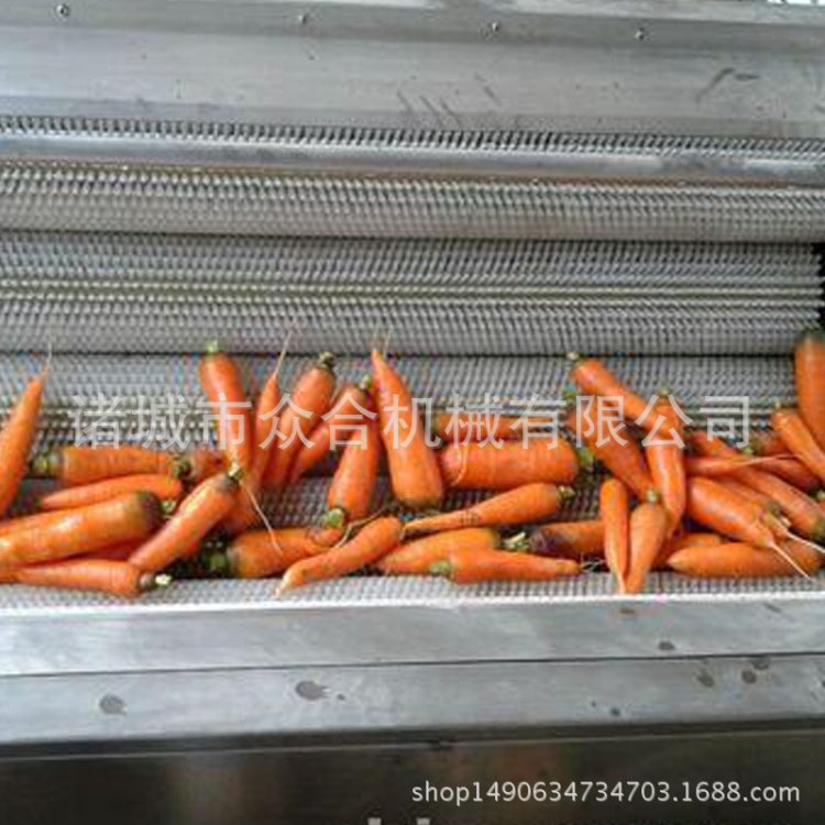 浙江白蘿卜清洗去皮機  毛輥去皮清洗機  果蔬清洗設備