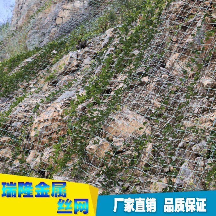 廠家供應(yīng)綠色鋼塑格柵柔性防護(hù)網(wǎng)植物護(hù)山攀爬柔性主動(dòng)防護(hù)網(wǎng)