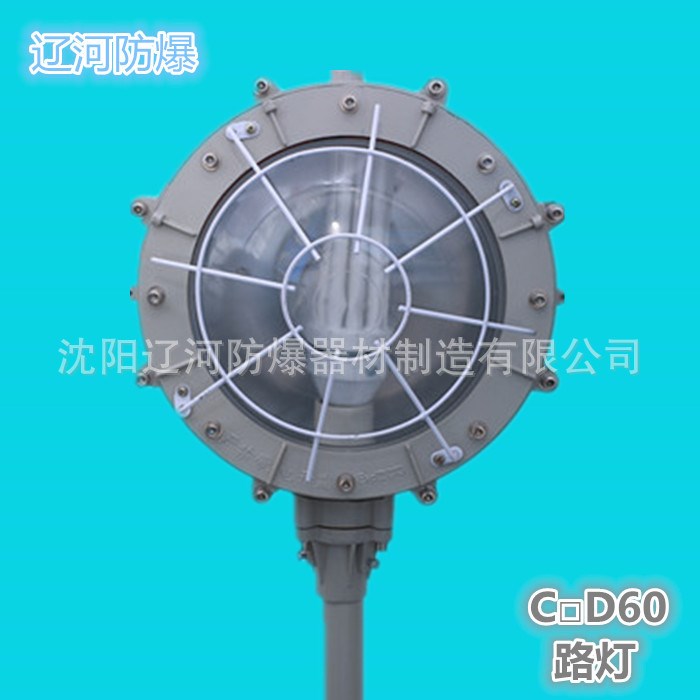 防爆燈馬路燈防爆燈 廠家直銷 可定制 量大從優 遼河防爆