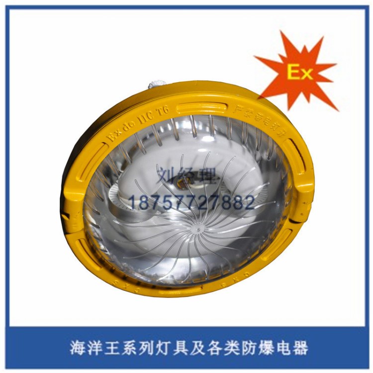 海洋BFC8182長壽低耗防爆燈 長壽低頂燈 防爆燈具 80W無極燈