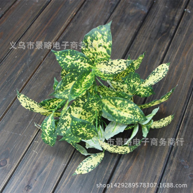 新品熱賣仿真星點(diǎn)木植物墻配材黃金葛星木葉家居陽臺軟裝綠景點(diǎn)綴