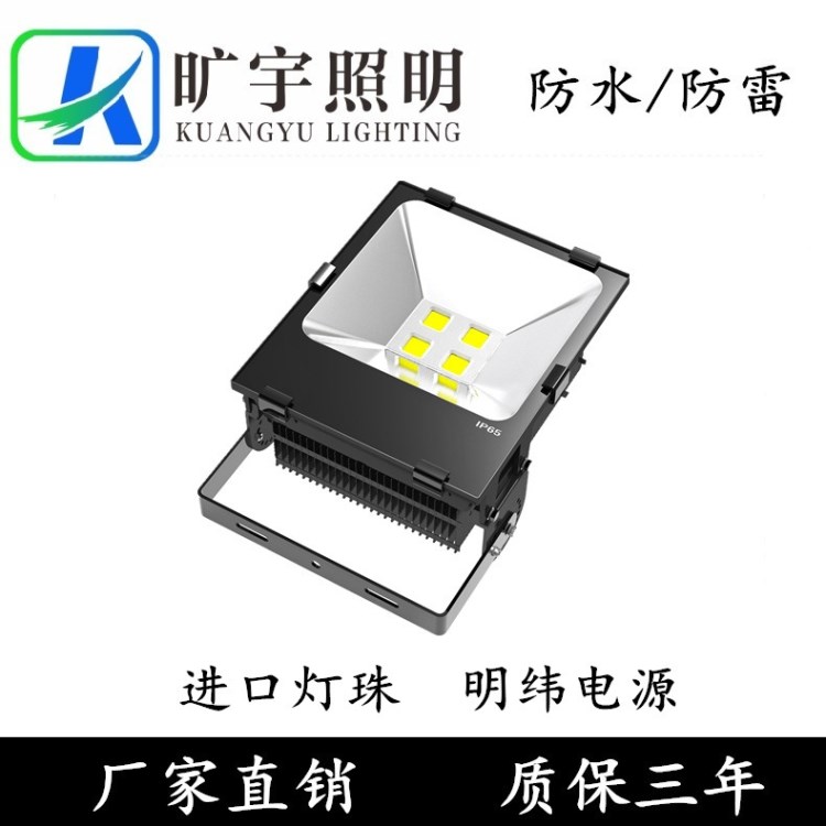 鳍片散热LED泛光灯 高品质科锐灯珠款品牌 明纬LED投光灯