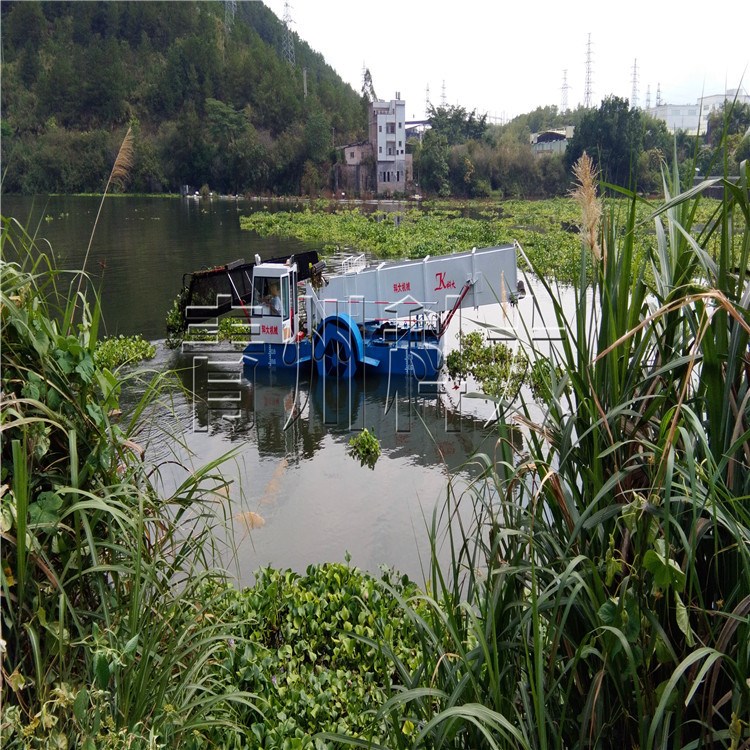 清理河道水生植物 河道捞草机械 全自动割草船厂家直销