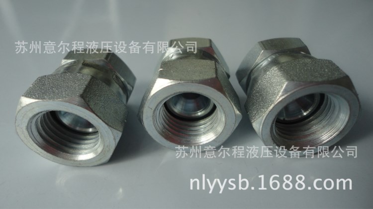 卡套式堵頭9S內螺紋堵頭