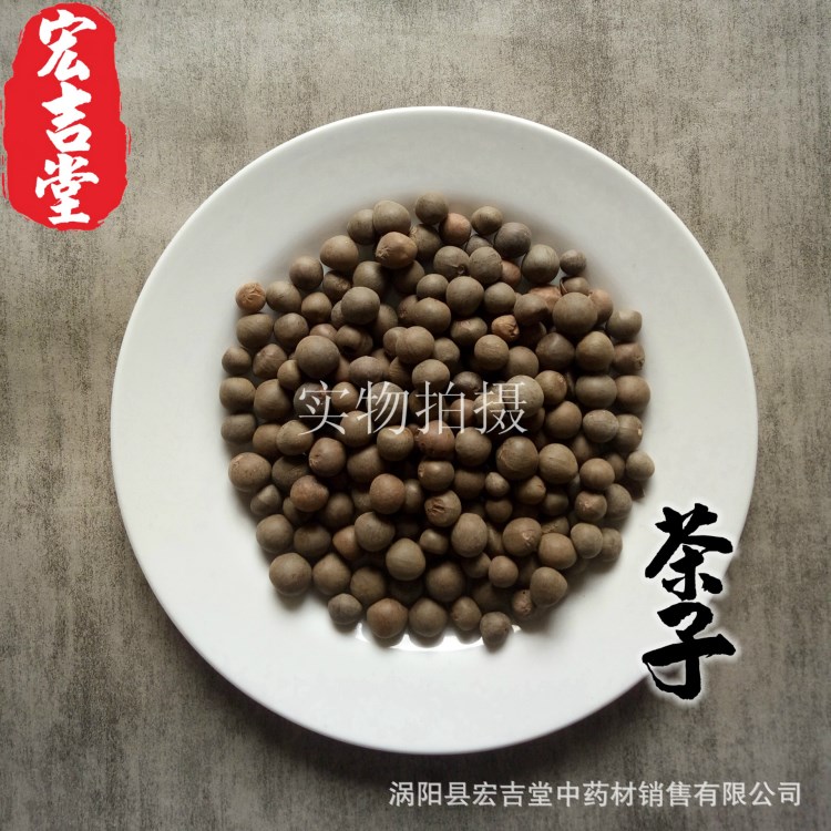 批發(fā)供應(yīng) 茶子 冷背中藥材 山茶籽 茶麩 茶枯粉 量大從優(yōu)