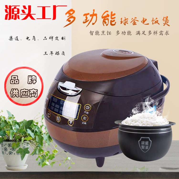 展俊智能家用電飯煲  預(yù)約定時智能5L電飯煲 廠家批發(fā) 一件代發(fā)