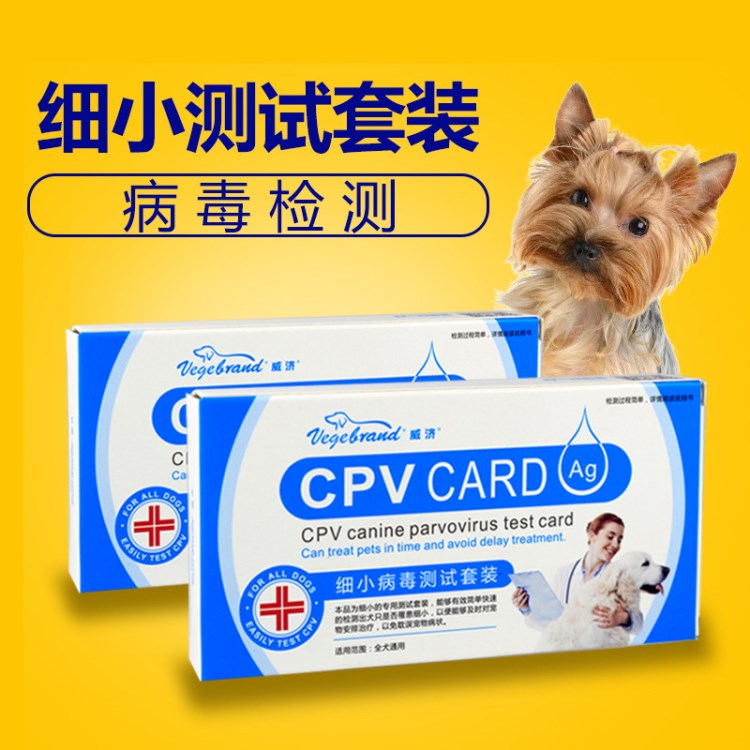 狗狗檢測細(xì)小試紙  犬類測試CPV病毒  寵物狗生病防疫套裝 單片賣