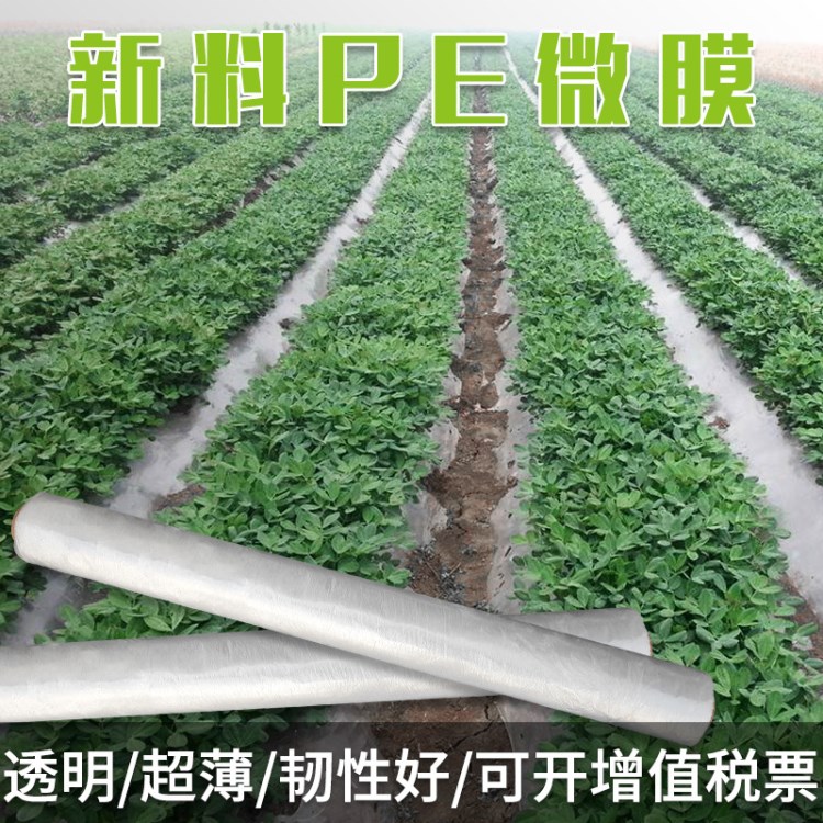 新料PE超薄膜微膜地膜 塑料透明蔬菜育苗保温大棚温室农用薄膜