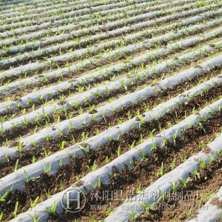 基地直銷  農(nóng)用塑料膜  黑薄膜  黑色地膜  白地膜  量大從優(yōu)