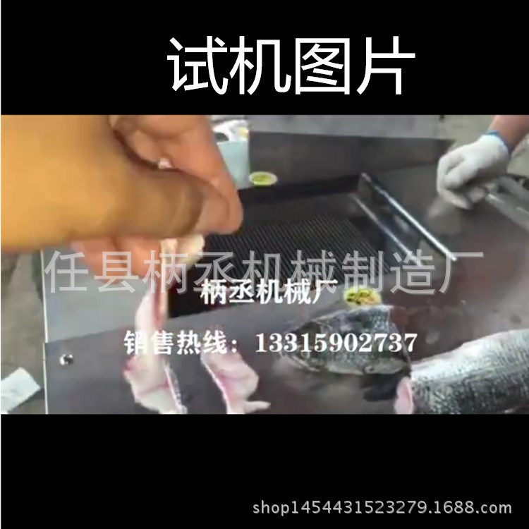 自動切魚片機斜切 高速45&deg;切生魚片機設備 飯店專用切魚片機