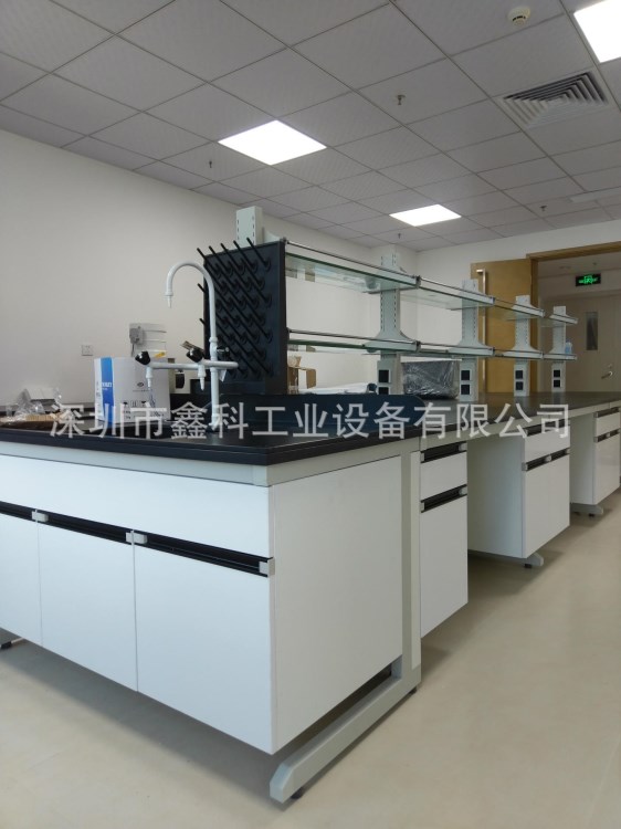 實驗臺化驗桌實驗室工作臺理化臺面藥品柜試驗臺通風柜免費安裝
