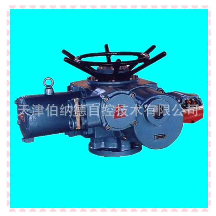 伯納德公司供應(yīng)SLM多回轉(zhuǎn)閥門電動裝置 天津津伯儀表電動裝置