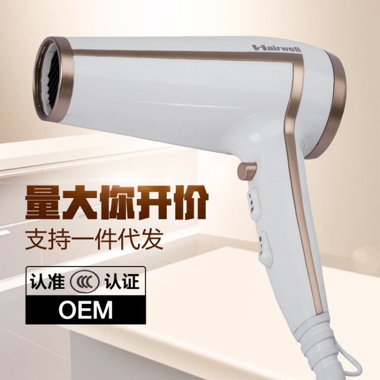hair dryer 吹風(fēng)筒 美發(fā)專用 生活小家電一件代發(fā)